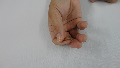 �א�p�Ă�����̎ʐ^�A�V�[�c�̏�Ɉ�{�z�u����Ă���