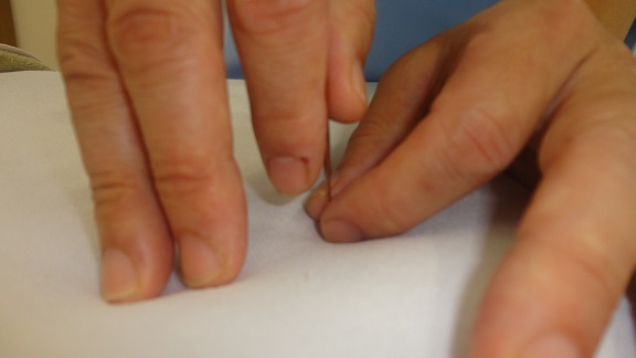 �c�C���I�̎�����