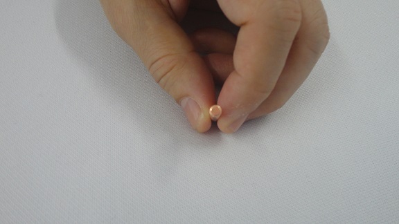 ��؎���o�I����Ɏ����Ă���ʐ^