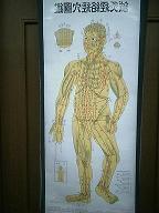 �o���}�̎ʐ^