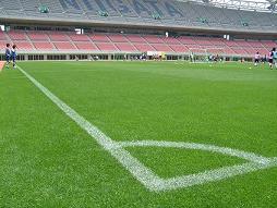 CK�]�[������̎ʐ^