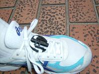 RC�^�O���C�Ђ��Ō��т����ʐ^