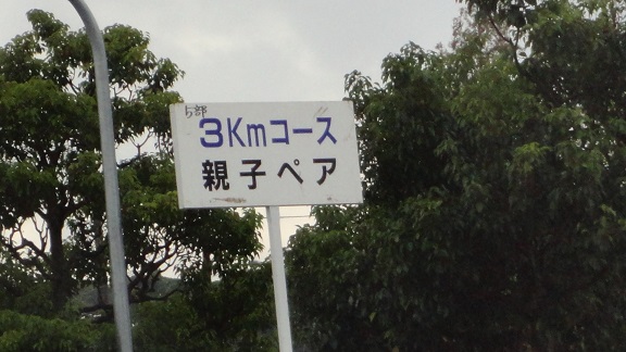 �e�q����̊Ŕʐ^