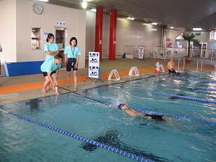 ����̍��}�_�Ń^�[���̍��}�����Ă�����Ă���ʐ^