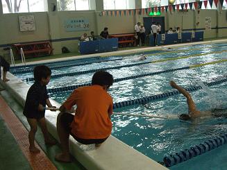 ��`���Ă��炢�Ȃ���^�[���̍��}������M���i���j�j