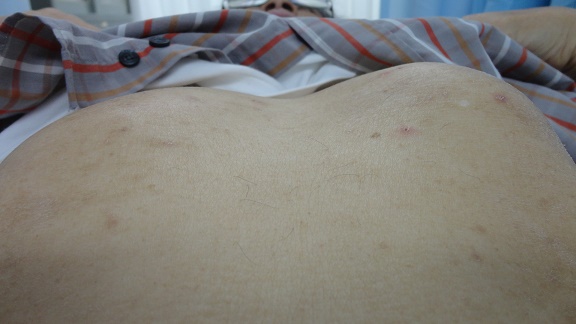 ����̏��