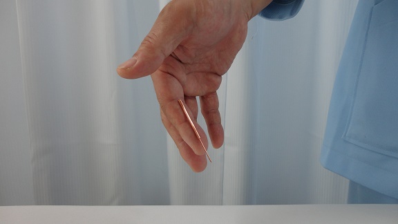 ��؎��Ă����񂪁A���w��{�Ő����ł������Ȃ�