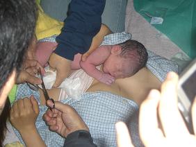 �`�̔���ؒf���悤�Ƃ��Ă���ʐ^