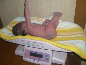 �̏d�v��3350g��\��