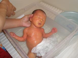 �������C�����悭�O���Ƃ񂪂点�Ă���M��